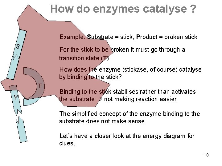 How do enzymes catalyse ? Example: Substrate = stick, Product = broken stick S