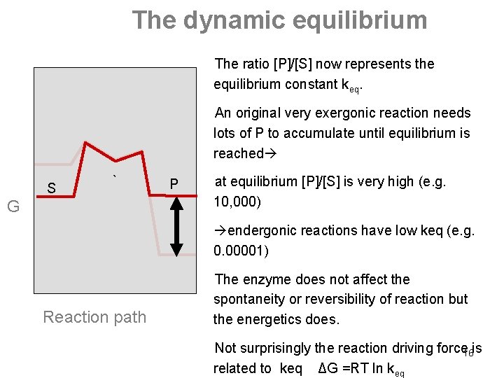 The dynamic equilibrium The ratio [P]/[S] now represents the equilibrium constant keq. An original