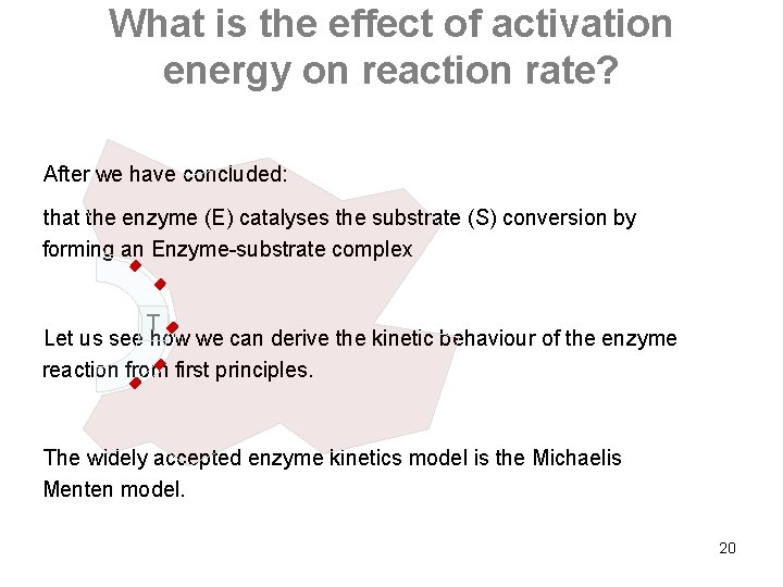 What is the effect of activation energy on reaction rate? After we have concluded: