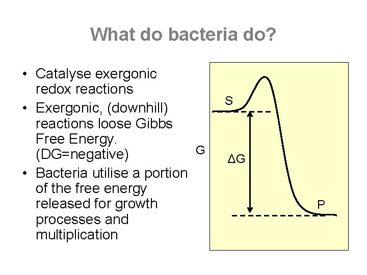 What do bacteria do? • Catalyse exergonic redox reactions • Exergonic, (downhill) reactions loose