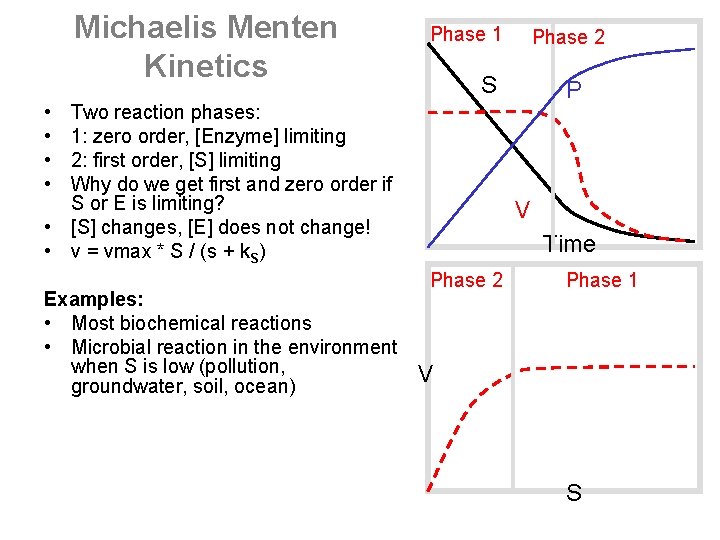 Michaelis Menten Kinetics Phase 1 Phase 2 S P • • Two reaction phases: