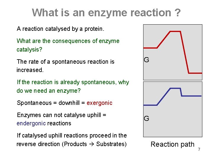 What is an enzyme reaction ? A reaction catalysed by a protein. What are