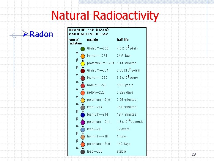 Natural Radioactivity Ø Radon 19 