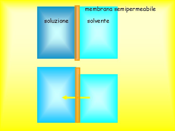 membrana semipermeabile soluzione solvente 