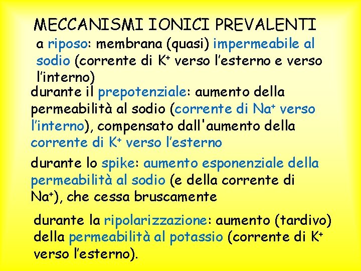 MECCANISMI IONICI PREVALENTI a riposo: membrana (quasi) impermeabile al sodio (corrente di K+ verso