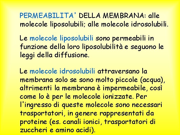 PERMEABILITA' DELLA MEMBRANA: alle molecole liposolubili; alle molecole idrosolubili. Le molecole liposolubili sono permeabili
