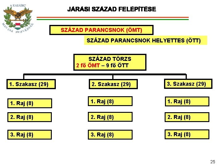 SZÁZAD PARANCSNOK (ÖMT) SZÁZAD PARANCSNOK HELYETTES (ÖTT) SZÁZAD TÖRZS 2 fő ÖMT – 9