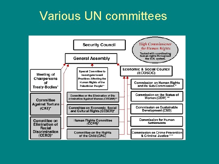 Various UN committees 