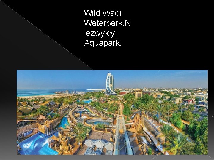 Wild Wadi Waterpark. N iezwykły Aquapark. 