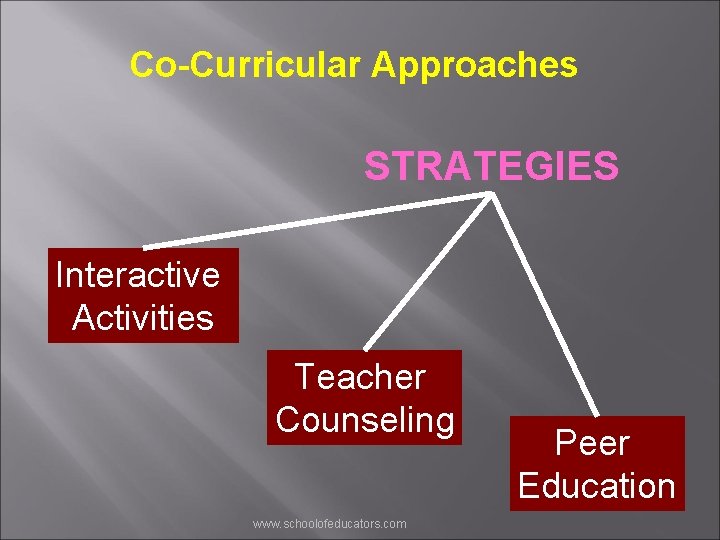 Co-Curricular Approaches STRATEGIES Interactive Activities Teacher Counseling www. schoolofeducators. com Peer Education 