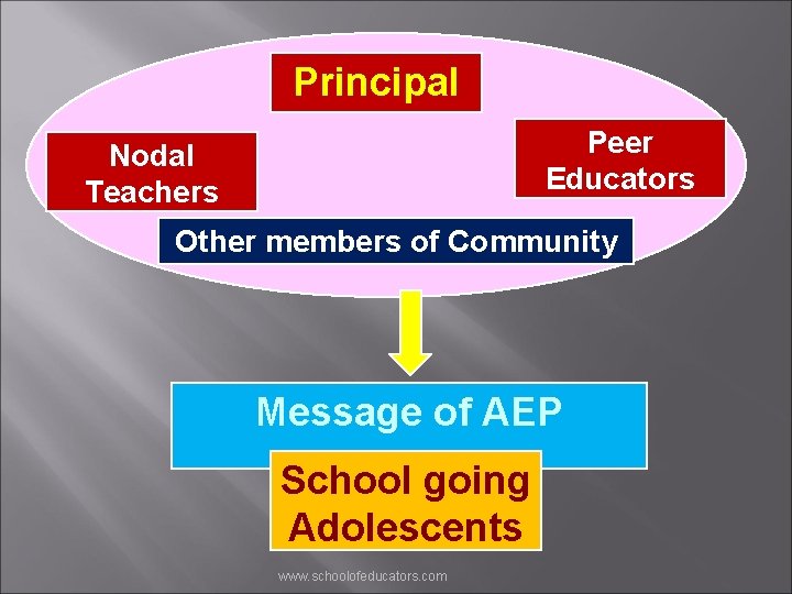 Principal Peer Educators Nodal Teachers Other members of Community Message of AEP School going