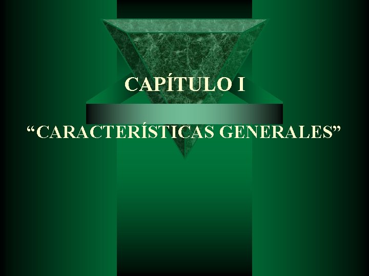 CAPÍTULO I “CARACTERÍSTICAS GENERALES” 