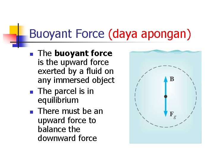 Buoyant Force (daya apongan) n n n The buoyant force is the upward force