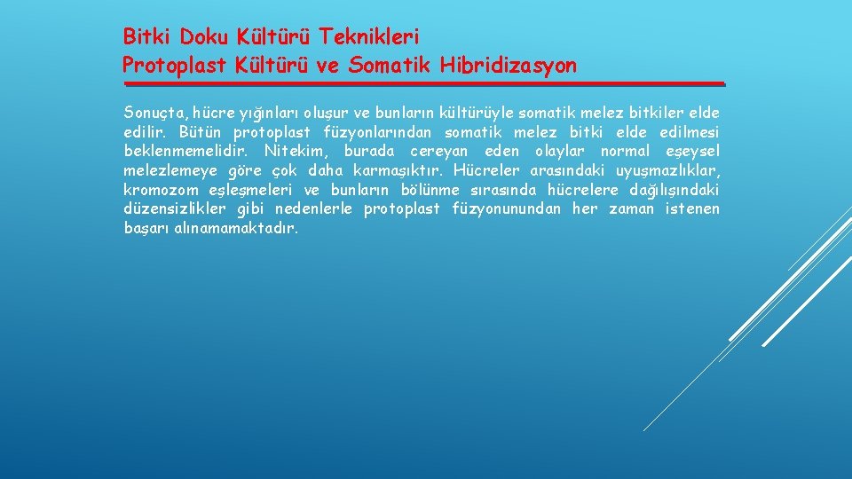 Bitki Doku Kültürü Teknikleri Protoplast Kültürü ve Somatik Hibridizasyon Sonuçta, hücre yığınları oluşur ve