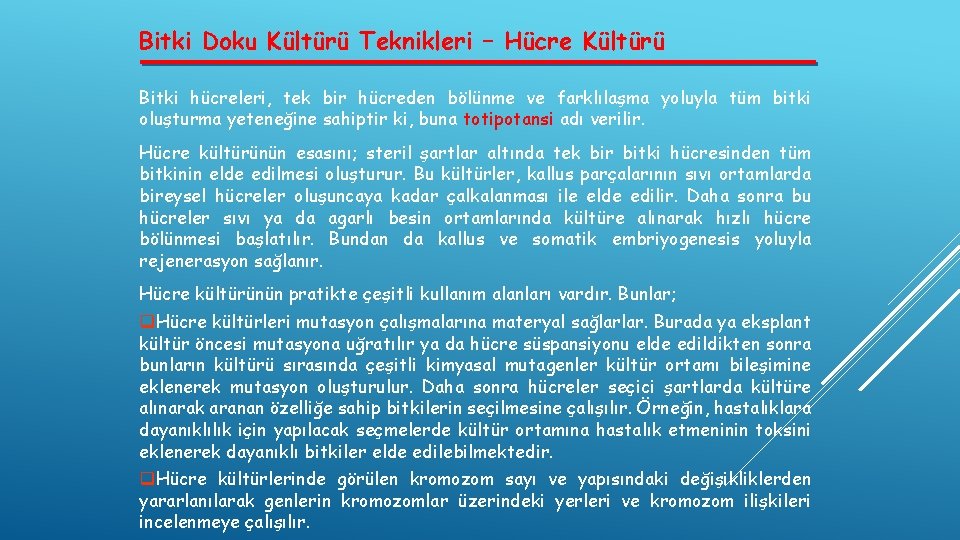 Bitki Doku Kültürü Teknikleri – Hücre Kültürü Bitki hücreleri, tek bir hücreden bölünme ve