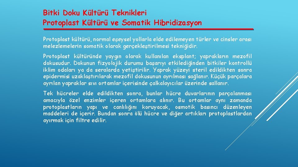 Bitki Doku Kültürü Teknikleri Protoplast Kültürü ve Somatik Hibridizasyon Protoplast kültürü, normal eşeysel yollarla