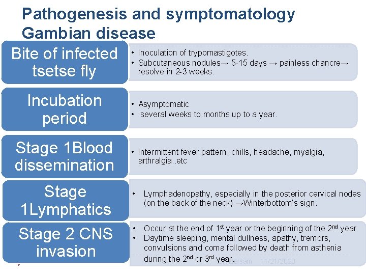Pathogenesis and symptomatology Gambian disease Bite of infected • • Inoculation of trypomastigotes. Subcutaneous