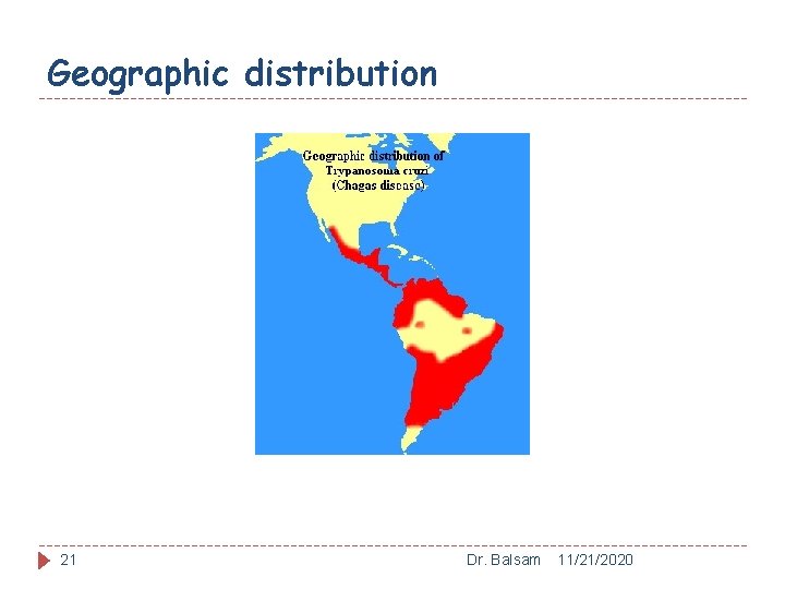 Geographic distribution 21 Dr. Balsam 11/21/2020 