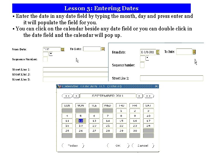 Lesson 3: Entering Dates • Enter the date in any date field by typing