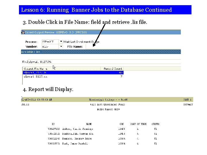 Lesson 6: Running Banner Jobs to the Database Continued 3. Double Click in File