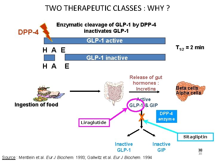 TWO THERAPEUTIC CLASSES : WHY ? DPP-4 Enzymatic cleavage of GLP-1 by DPP-4 inactivates