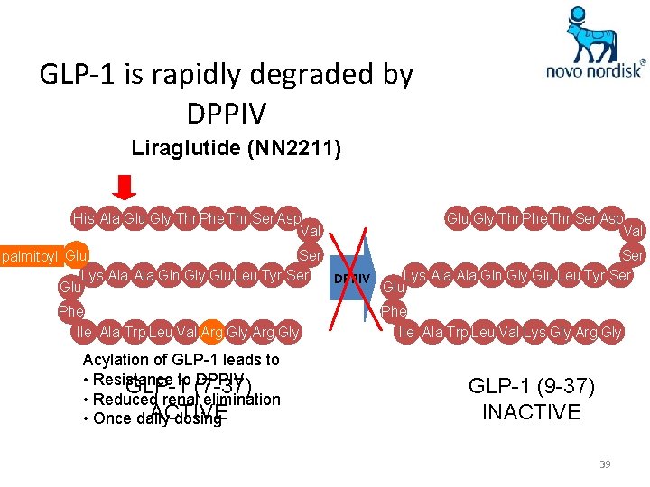 GLP-1 is rapidly degraded by DPPIV Liraglutide (NN 2211) His Ala Glu Gly Thr