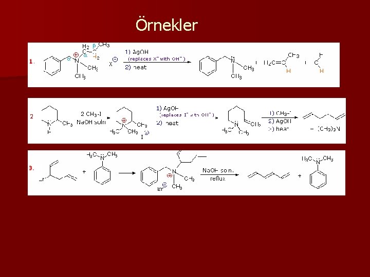 Örnekler 