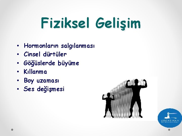 Fiziksel Gelişim • • • Hormonların salgılanması Cinsel dürtüler Göğüslerde büyüme Kıllanma Boy uzaması Fiziksel Gelişim • • • Hormonların salgılanması Cinsel dürtüler Göğüslerde büyüme Kıllanma Boy uzaması