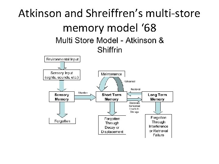 Atkinson and Shreiffren’s multi-store memory model ‘ 68 