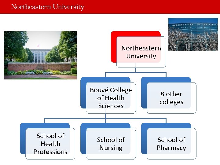Northeastern University School of Health Professions Bouvé College of Health Sciences 8 other colleges