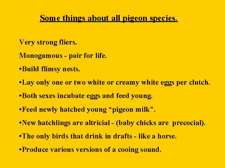 Some things about all pigeon species. Very strong fliers. Monogamous - pair for life.
