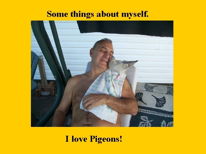 Some things about myself. I love Pigeons! 