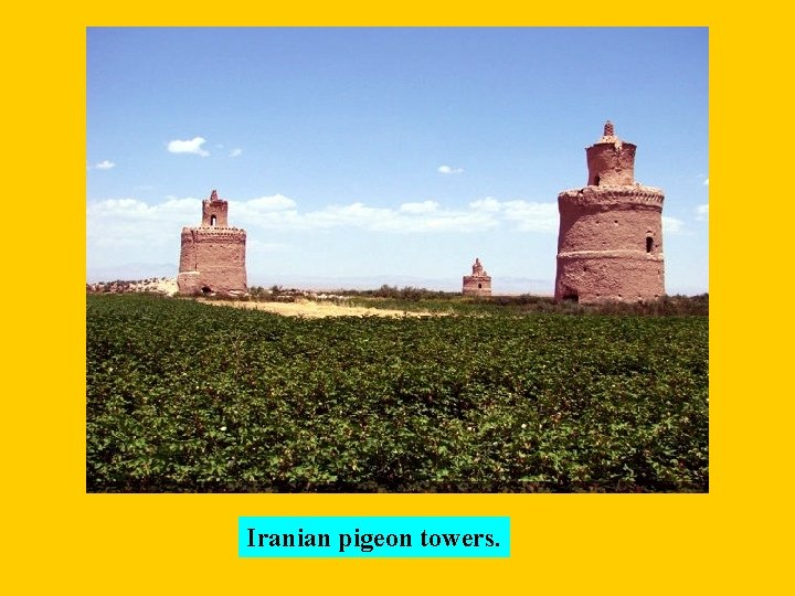 Iranian pigeon towers. 