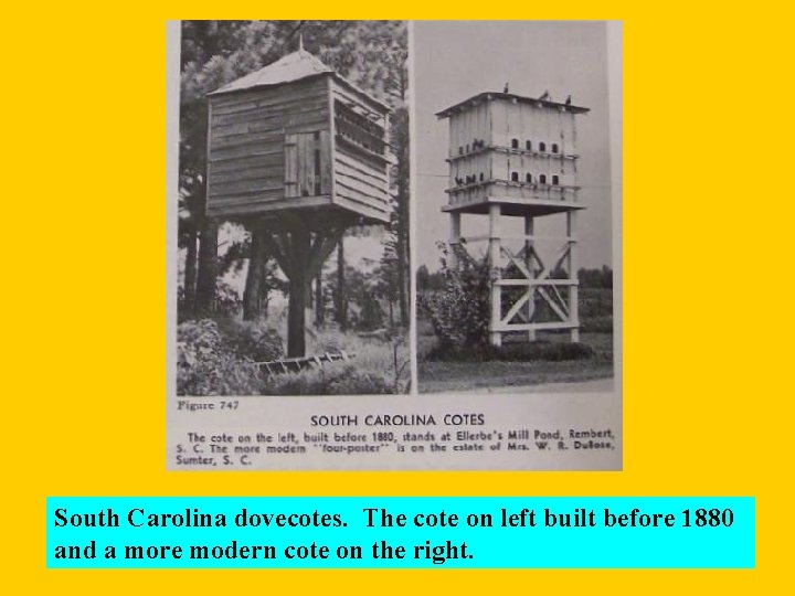 South Carolina dovecotes. The cote on left built before 1880 and a more modern
