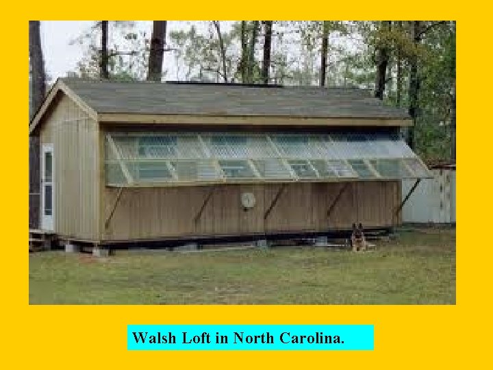 Walsh Loft in North Carolina. 