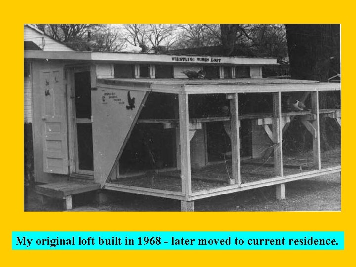 My original loft built in 1968 - later moved to current residence. 