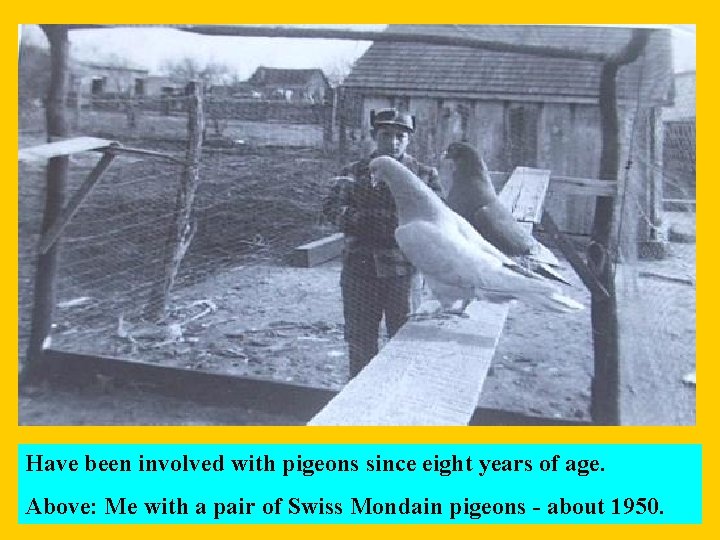 Have been involved with pigeons since eight years of age. Above: Me with a