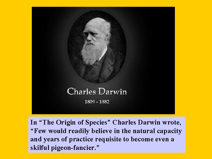 In “The Origin of Species” Charles Darwin wrote, “Few would readily believe in the