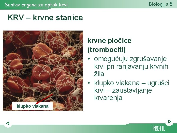 Sustav organa za optok krvi Biologija 8 KRV – krvne stanice krvne pločice (trombociti) Sustav organa za optok krvi Biologija 8 KRV – krvne stanice krvne pločice (trombociti)