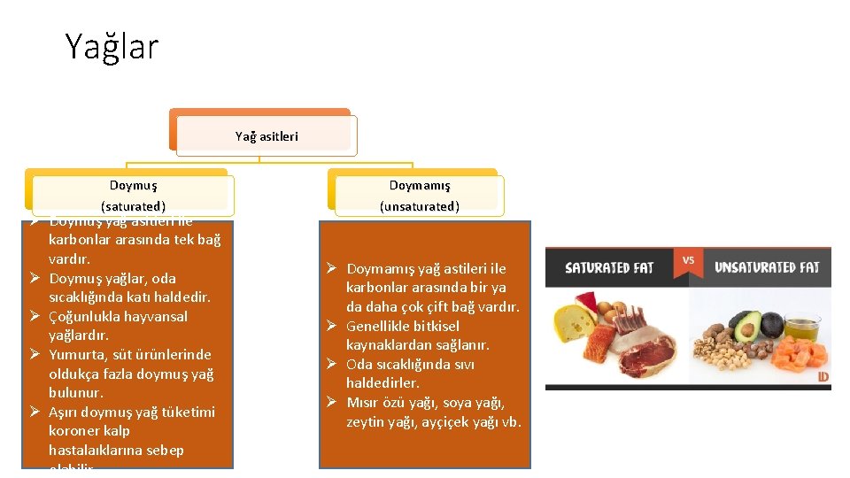 Yağlar Yağ asitleri Doymuş (saturated) Ø Doymuş yağ asitleri ile karbonlar arasında tek bağ