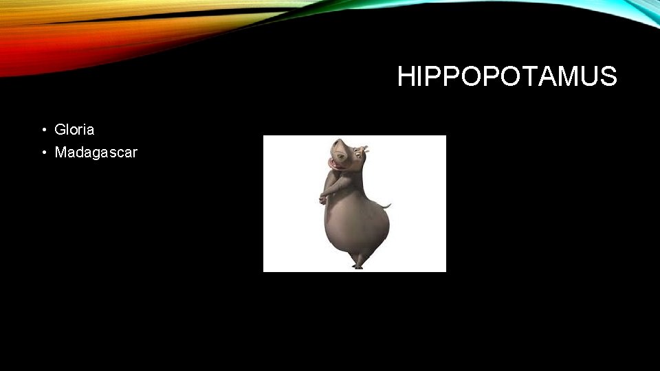 HIPPOPOTAMUS • Gloria • Madagascar 