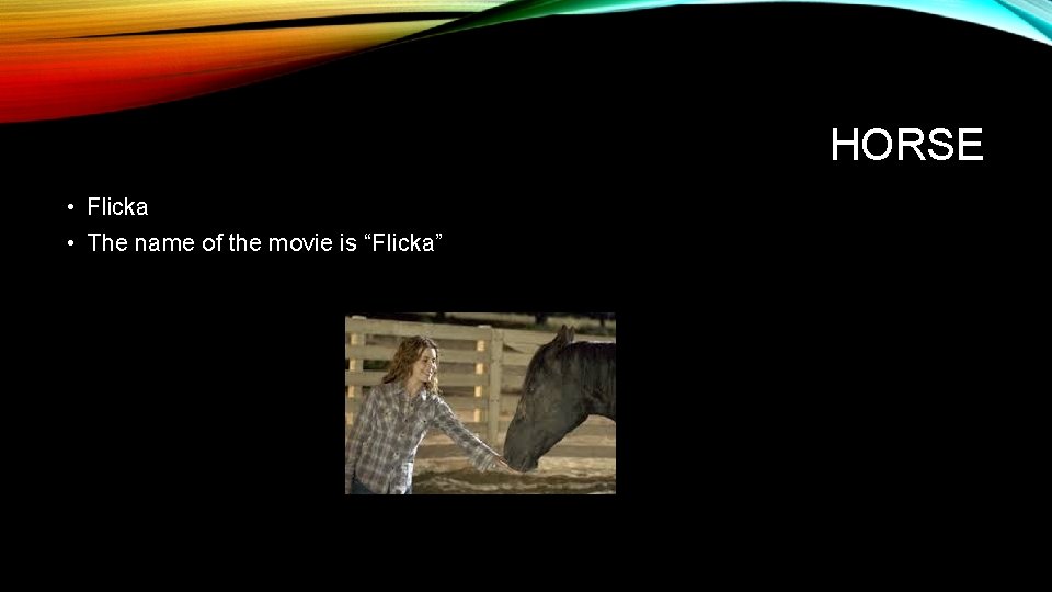 HORSE • Flicka • The name of the movie is “Flicka” 