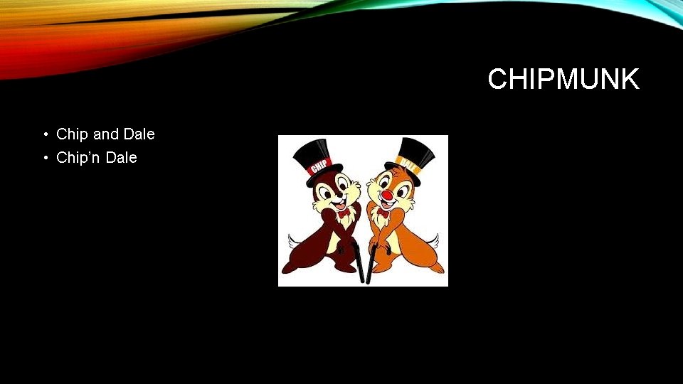 CHIPMUNK • Chip and Dale • Chip’n Dale 