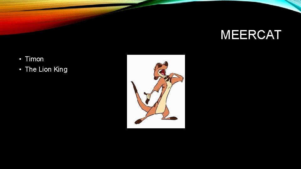 MEERCAT • Timon • The Lion King 