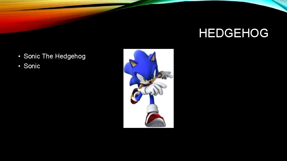 HEDGEHOG • Sonic The Hedgehog • Sonic 
