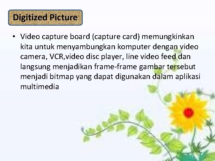 Digitized Picture • Video capture board (capture card) memungkinkan kita untuk menyambungkan komputer dengan