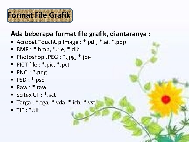 Format File Grafik Ada beberapa format file grafik, diantaranya : § § § §
