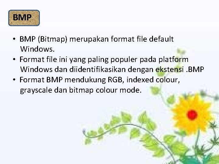 BMP • BMP (Bitmap) merupakan format file default Windows. • Format file ini yang