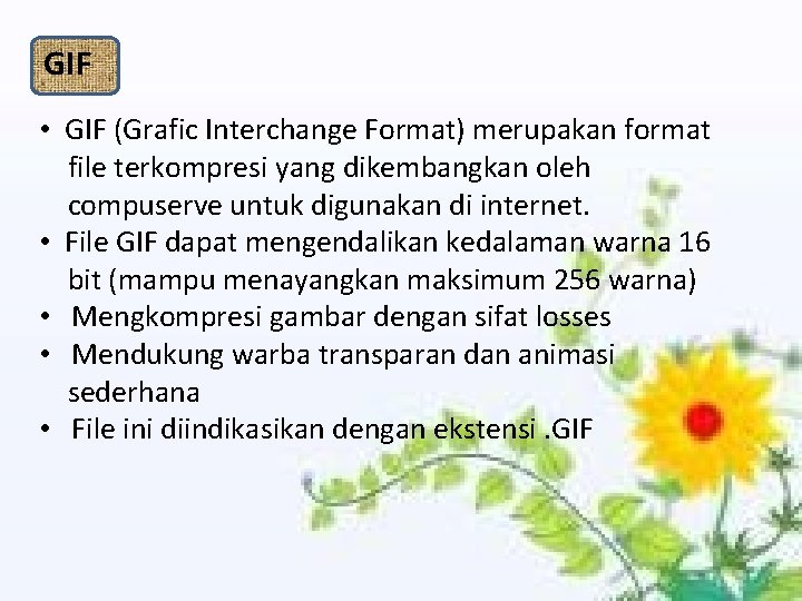 GIF • GIF (Grafic Interchange Format) merupakan format file terkompresi yang dikembangkan oleh compuserve