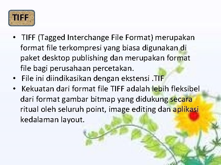 TIFF • TIFF (Tagged Interchange File Format) merupakan format file terkompresi yang biasa digunakan